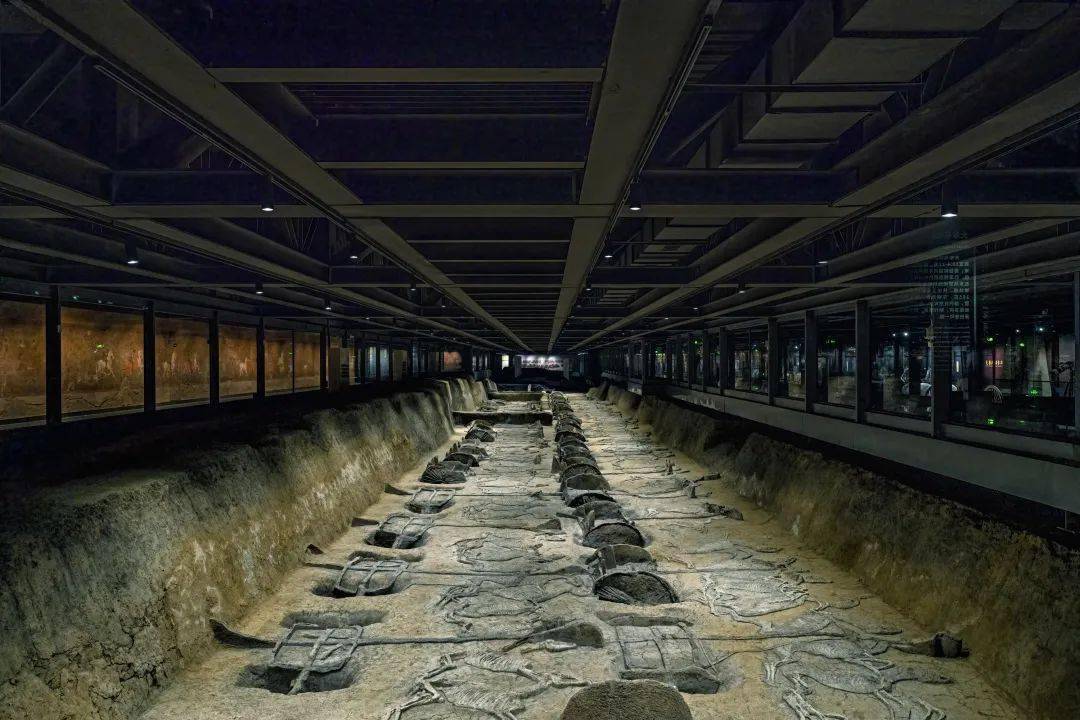 楚王车马阵景区在2021年全新升级了车马阵展厅,通过对遗址本体展陈