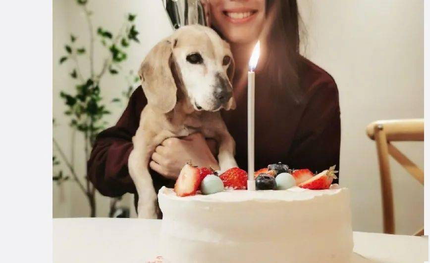 张梓琳_生活_中国