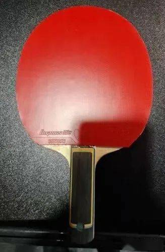 世界前十,男子选手器材配置(202402)_正手_樊振东_波尔