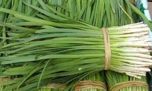 02口感韭菜有宽,细叶之分.两者在营养上差异不大,但口感上略有不同.