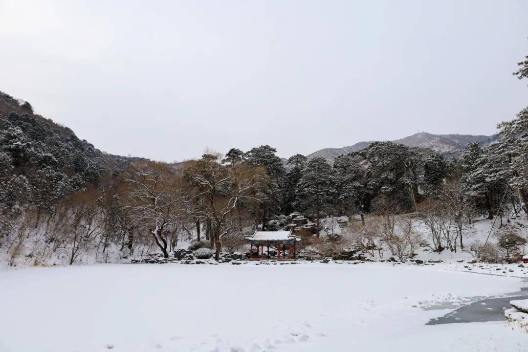 當然,雪後的香山不僅有著如詩如畫的美景,還有辛勤掃雪的香山人.