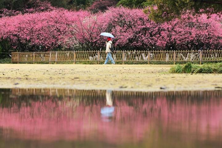 “正月雷，把雪催”，浙南为何下那么大冰雹？气象专家：超级单体雷暴