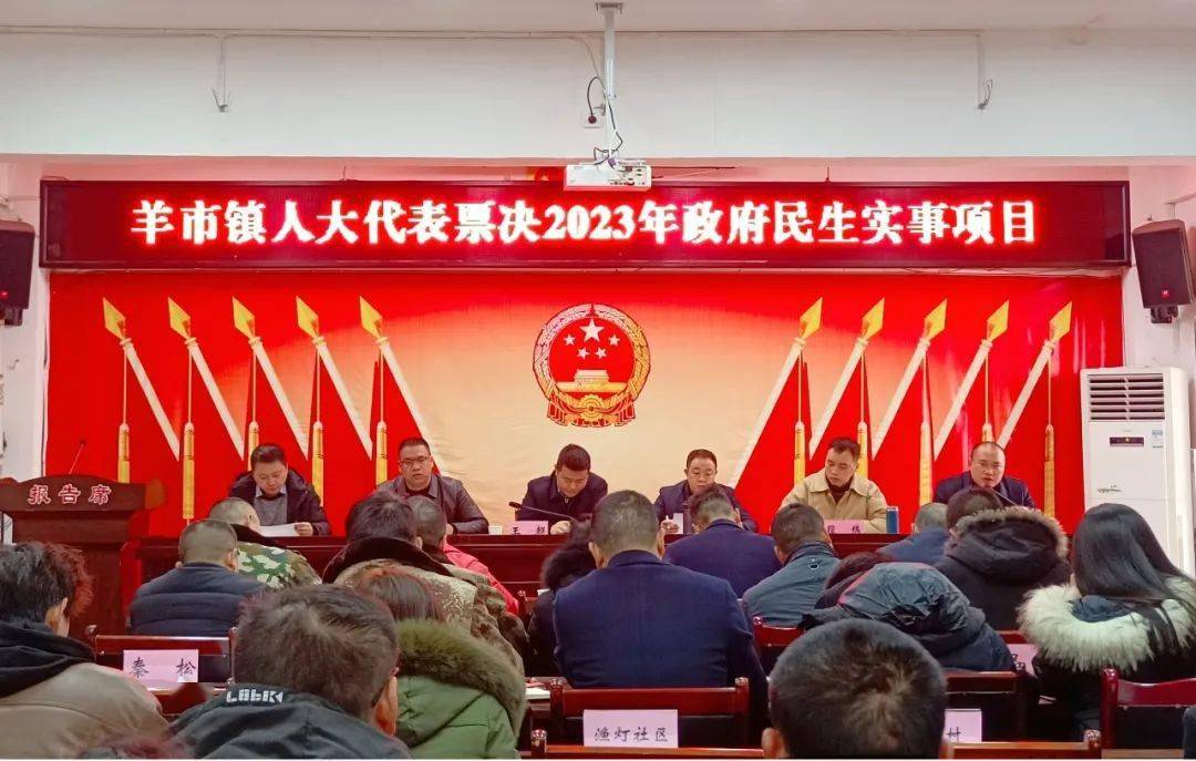 【乡镇人大】羊市镇:代表履职解民忧 ,"小路灯"照亮"大民生"_群众