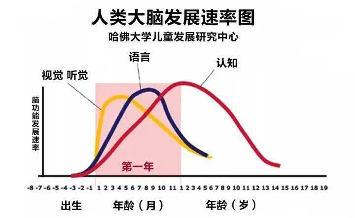 围棋是如何"拯救"数学学习的?