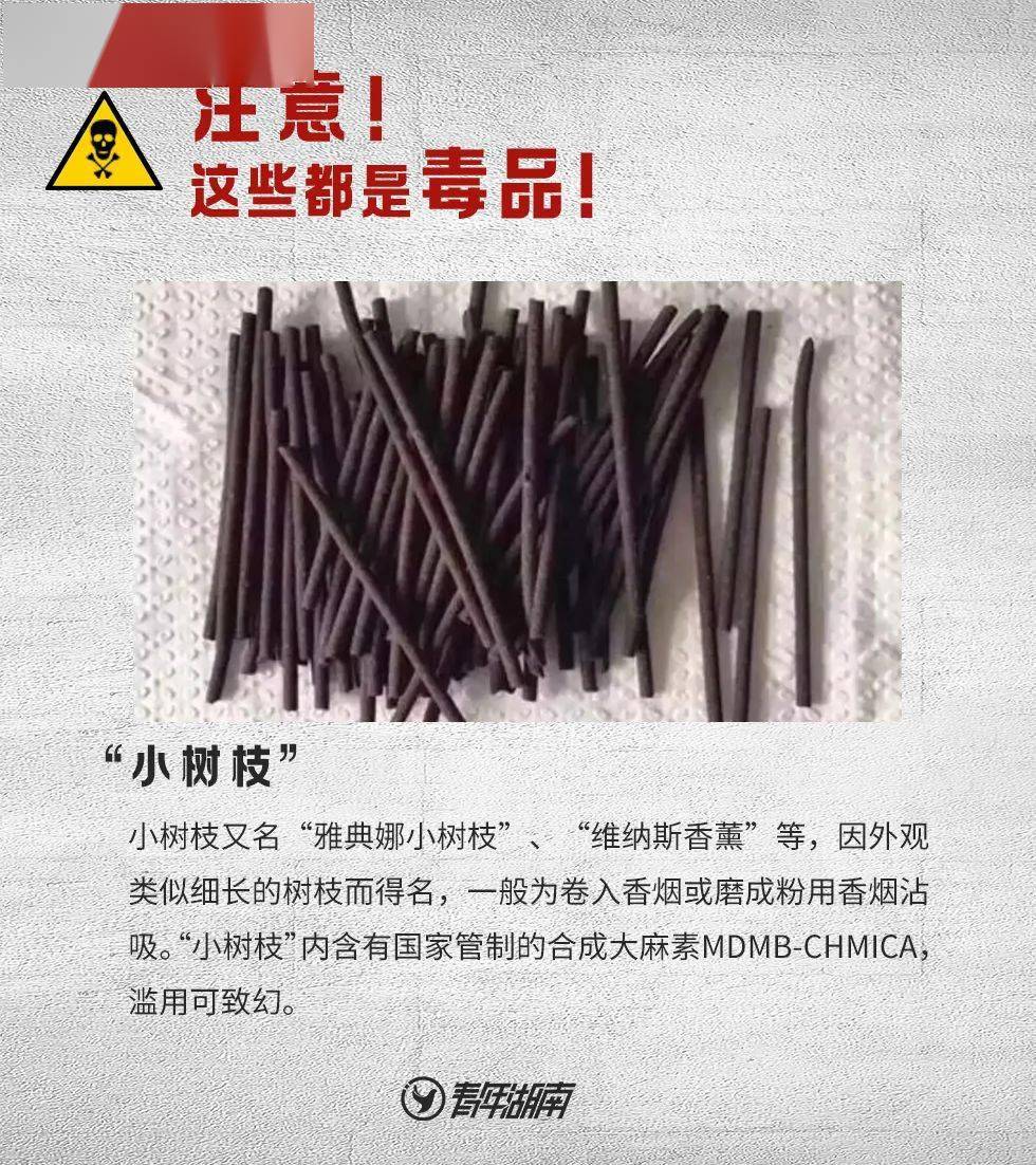 毒品_种植_植物