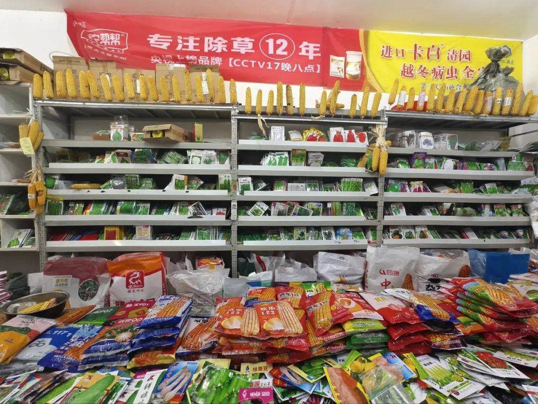 春耕备耕忙 农资销售旺_种子_港口_水稻