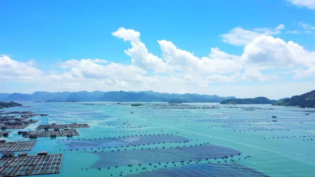 渔业高质量发展政策看这里