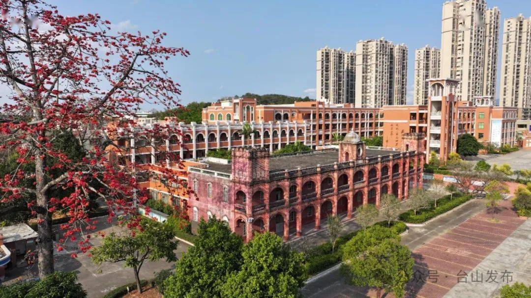 在台城李星衢纪念学校,两棵木棉树盛开的花朵缀满枝头,随风摇曳.