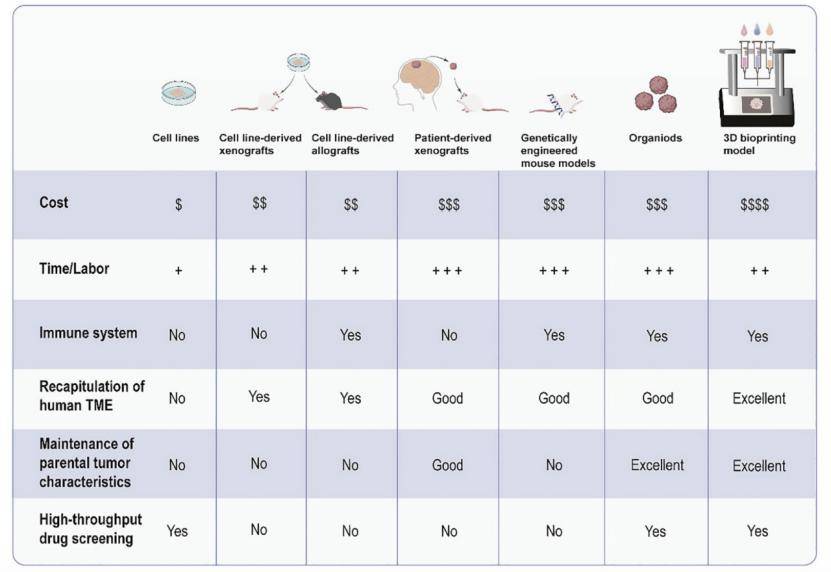 human brain | 人脑胶质瘤的临床前模型_研究_肿瘤_细胞系