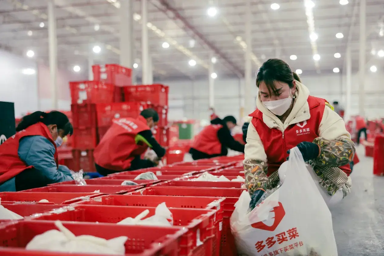 河南多多买菜招聘季火热开启_工作_薪资_保障