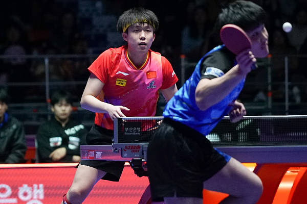 完胜张本智和,国乒男队轻取日本队晋级釜山世乒赛四强_樊振东_马龙
