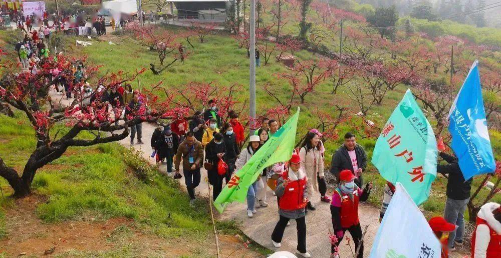 2022 广东连平桃花节图片