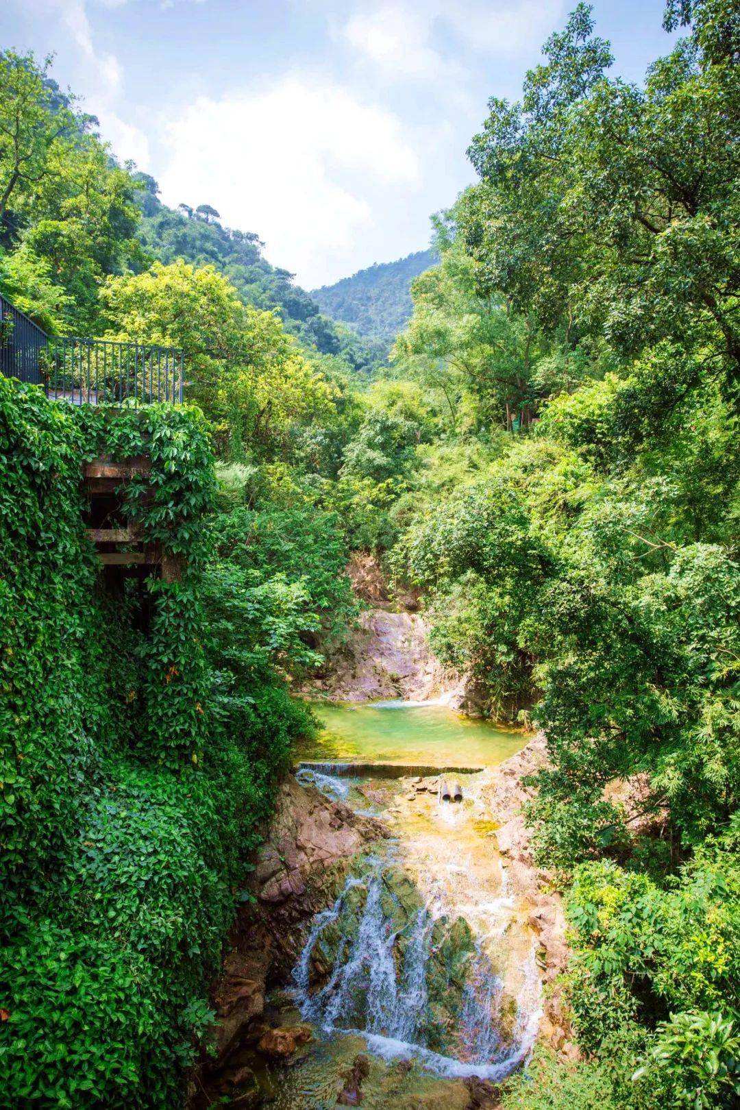 春天上樵山,门票,住宿最高减300元→_西樵_森林_景区