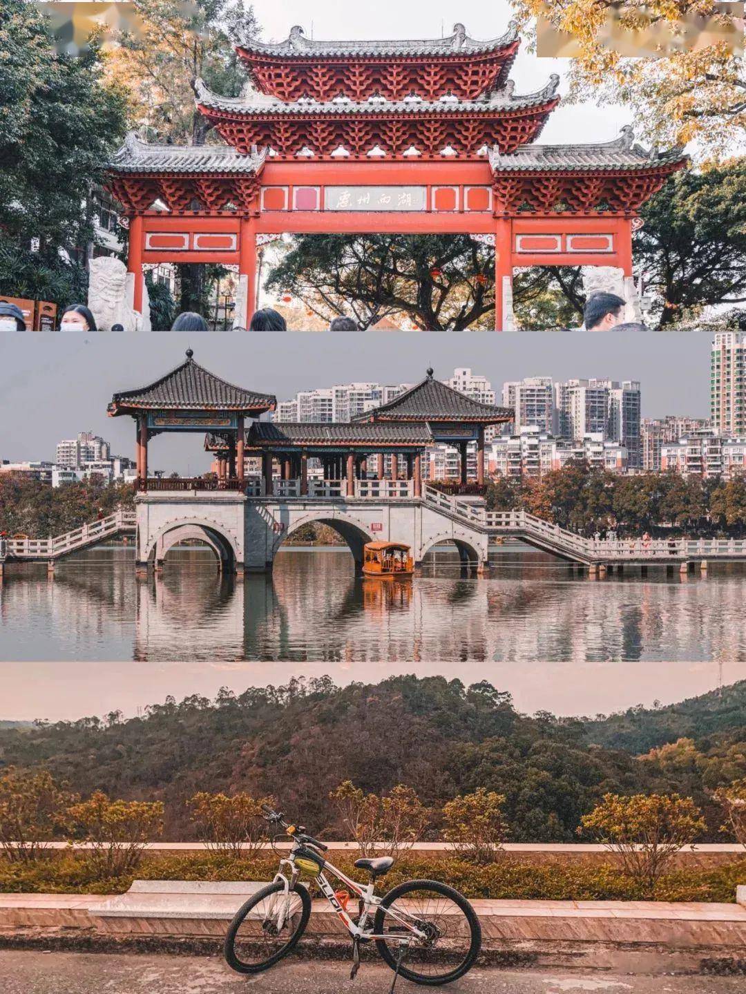 广东惠州,拥有着大海,古街,温泉的宝藏小城_沙滩_海龟_海水