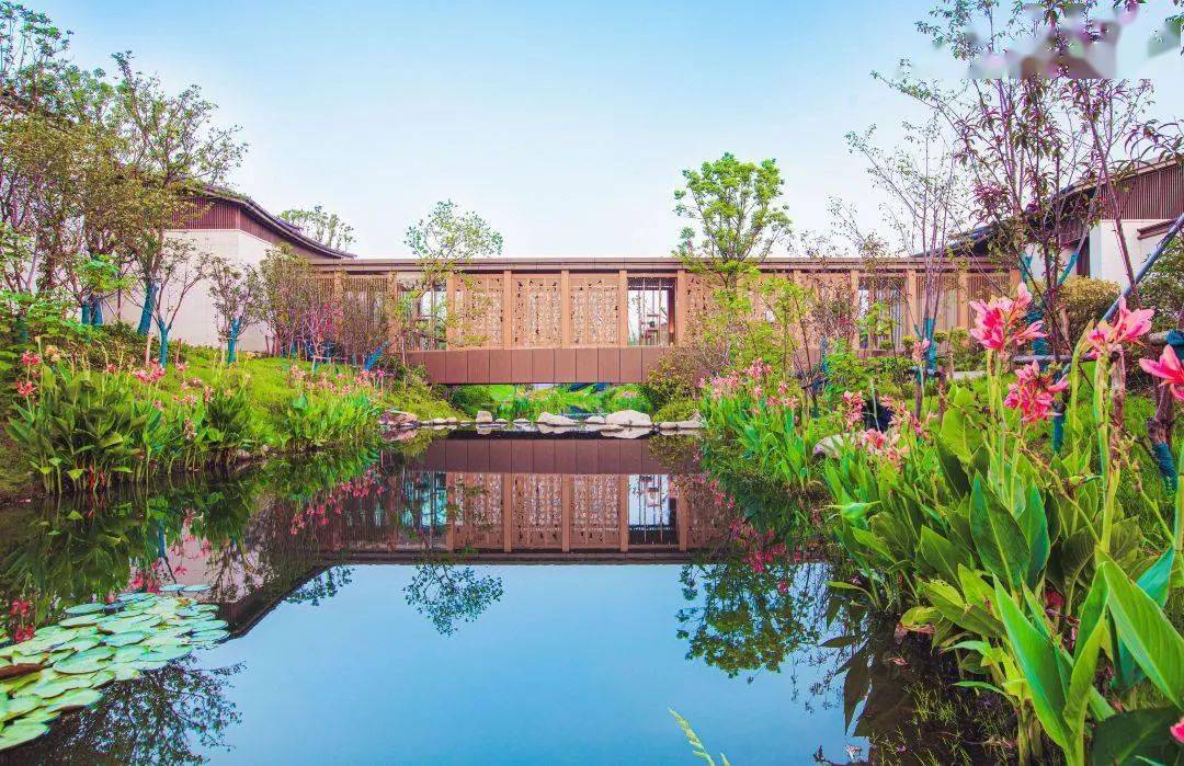 春风一吹,树山的梨花即将"高调上线",不妨错峰出游