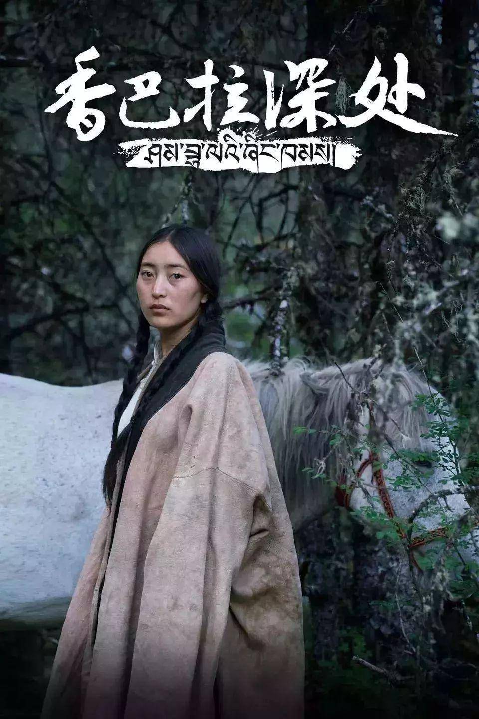 西藏_高原_生活