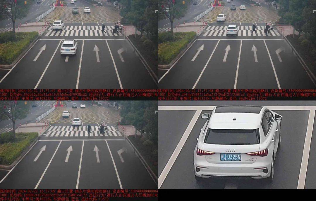 违法_车牌_时间