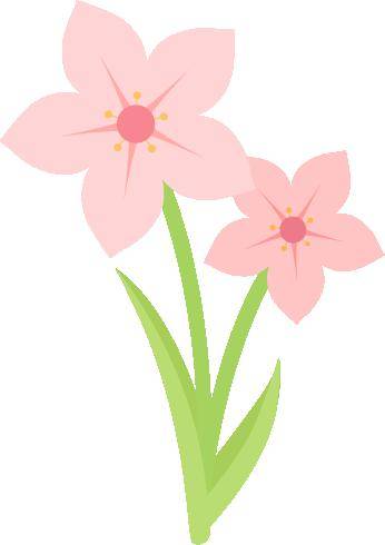 城市更新,向美而行_红河州_改造_建设