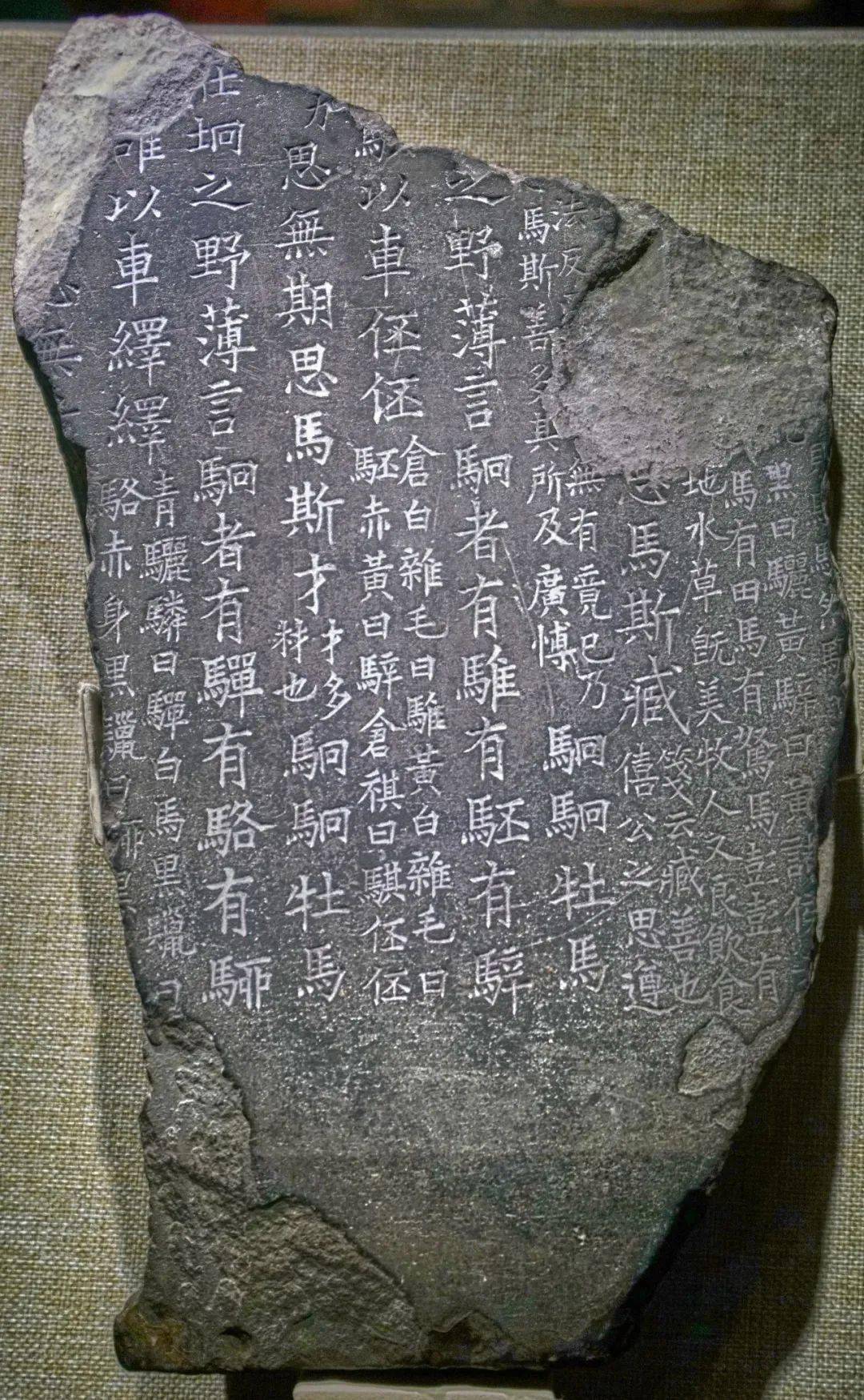 书讯丨《蜀石经集存》出版_研究_文献_图片