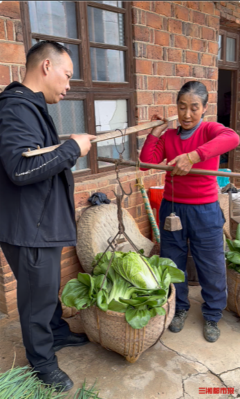 衡阳常宁市荫田镇一位67岁的老人家,说明来意后,老人搬出了家中的冬瓜