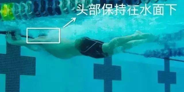 一看就会的蛙泳转身水下慢动作_身体_滑行_游泳
