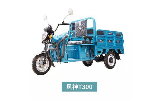 苏冠电动车带你感受无与伦比的驾驶体验_搜狐汽车_搜狐网