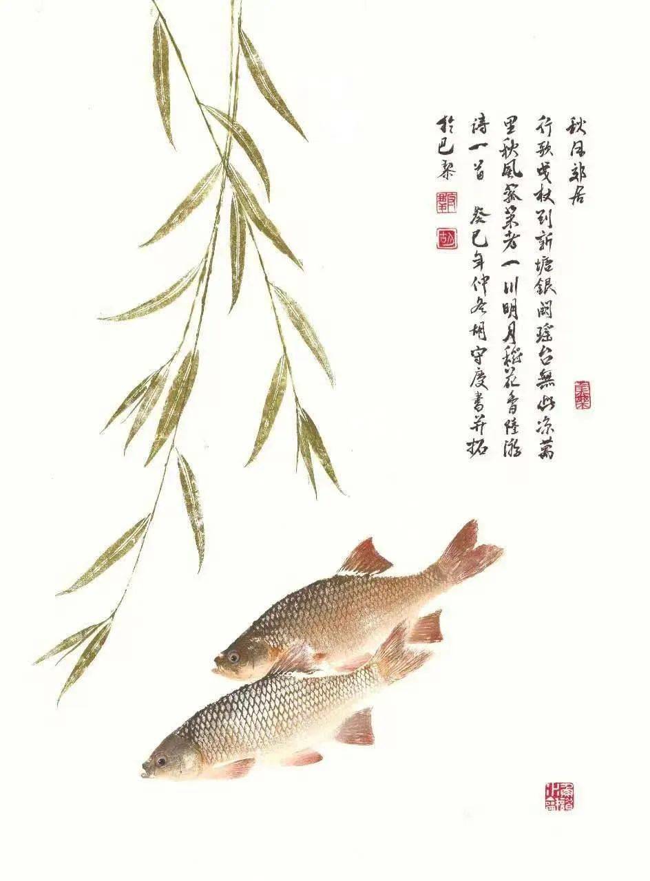 【通州守艺人】18年,外交官成鱼拓非遗传承人,让鱼永远活在纸上!