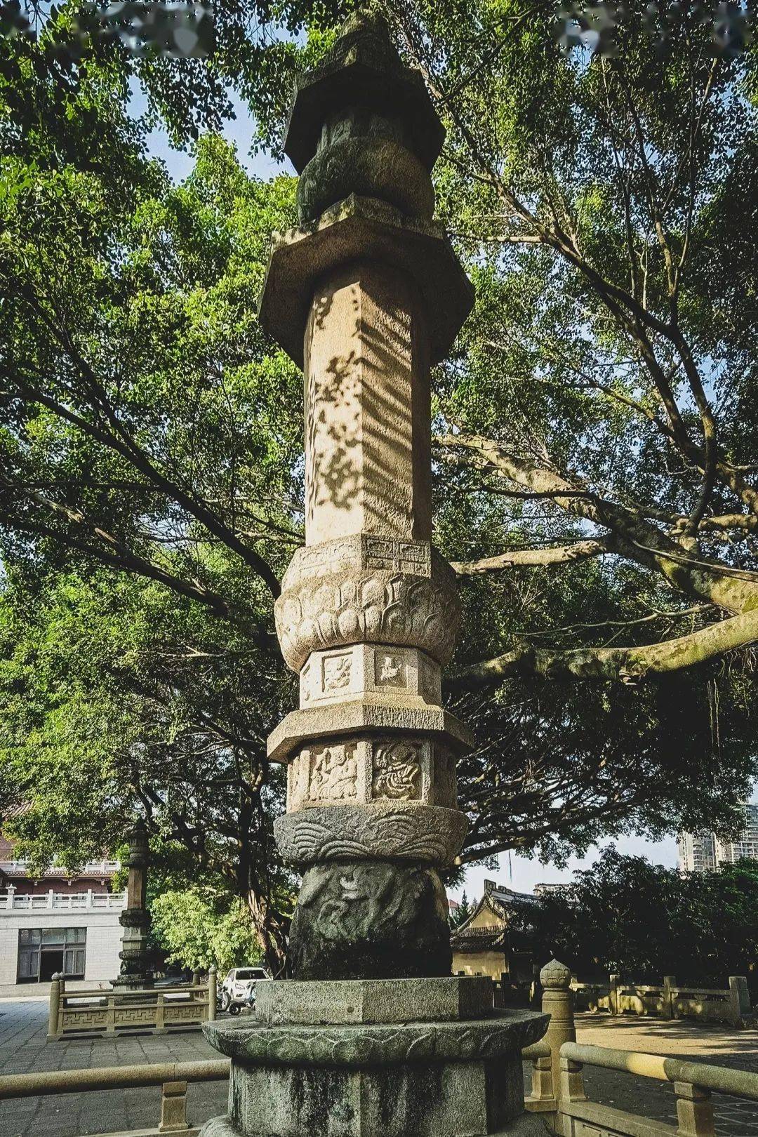 正月十五,莆田凤凰山街道南门社区摆棕轿闹元宵_摄影_城厢区_蔡昊