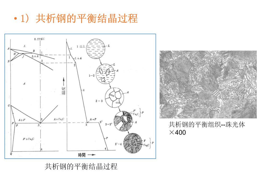 65钢组织示意图图片