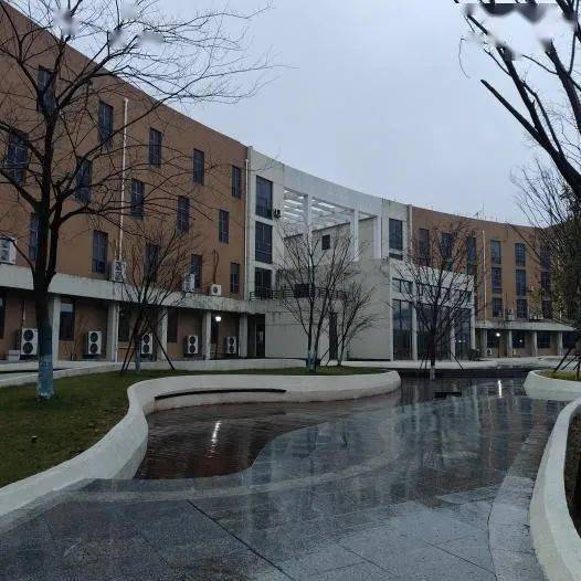 感恩母校行(115)| 走进浙江省衢州市第三中学_活动_团队_大学