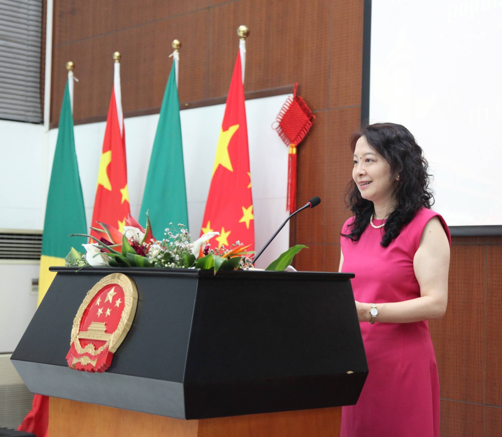 专访中国驻刚果共和国大使李岩