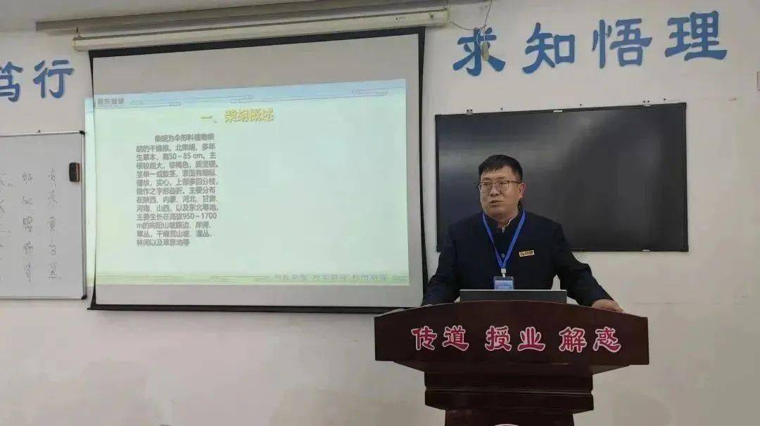 振东_中药材_主题