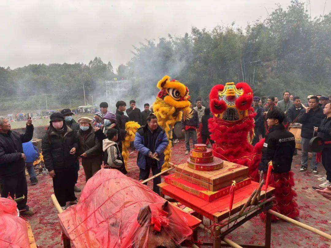 藤县象棋镇甘村大田社"抢花炮"祈福活动真热闹_邻里_欢呼声_民众