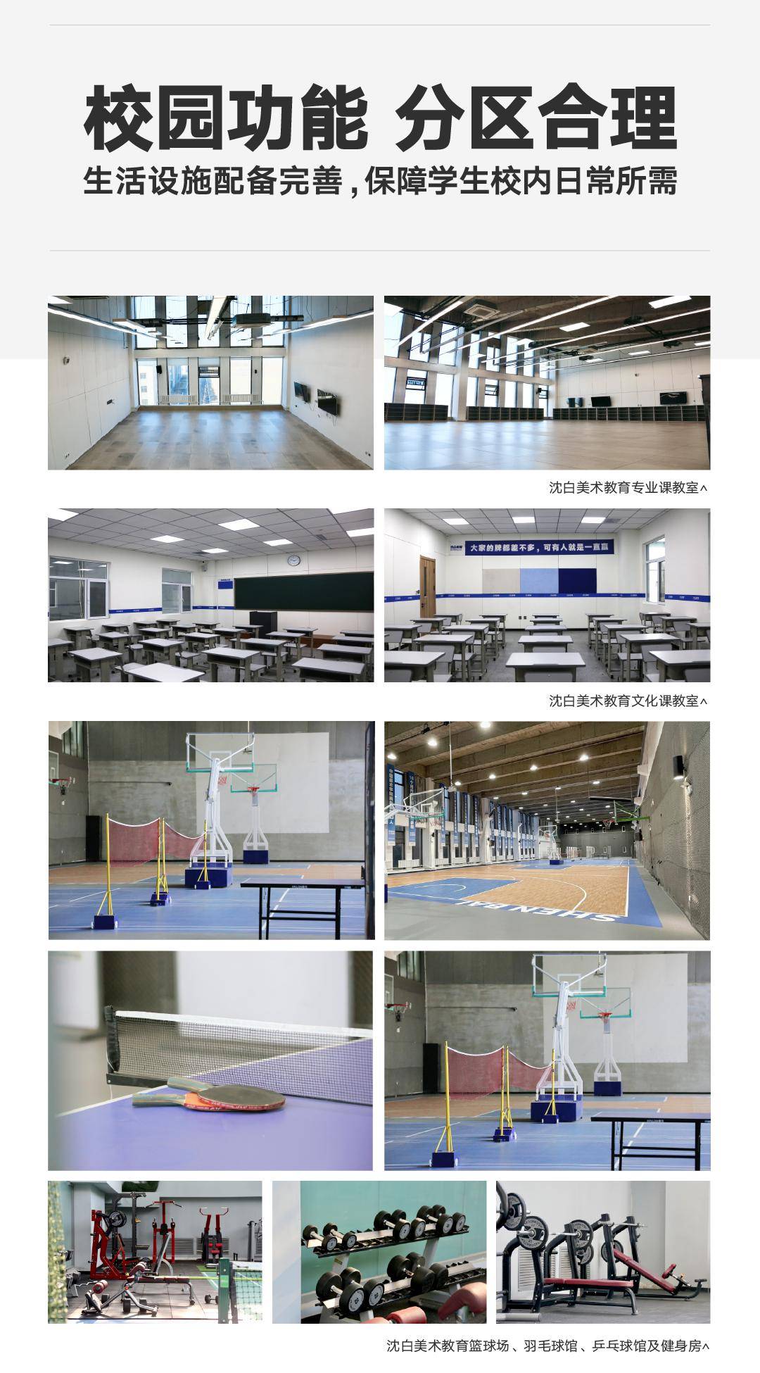 文专双优录取为王|沈白美术教育2025届招生简章_战绩_合格证_图片