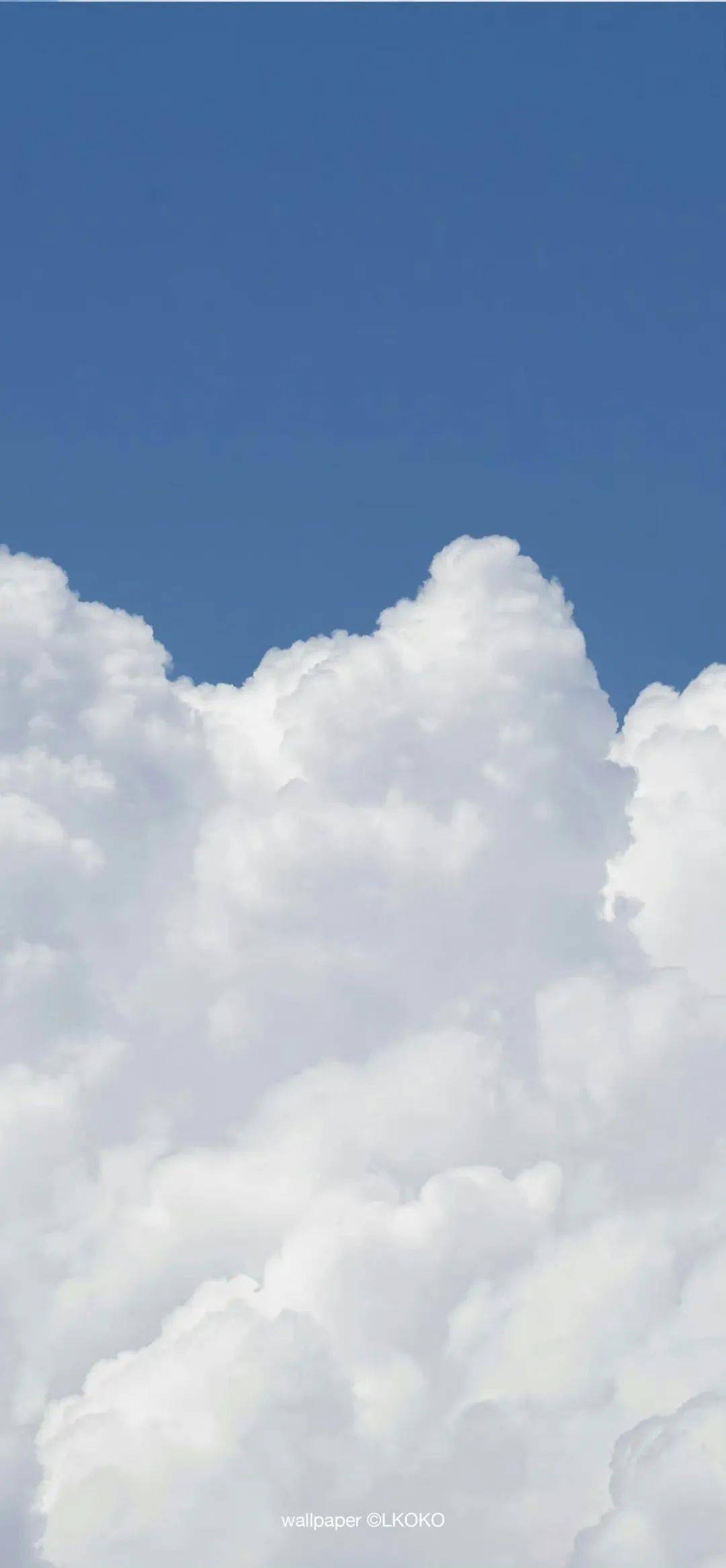 壁纸| 换一张小众优雅的手机壁纸