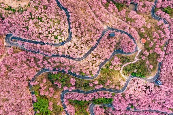 《红土地》柯志宏  厦门《玉尊宫天公诞辰祭典》黄以华  厦门《熠熠生