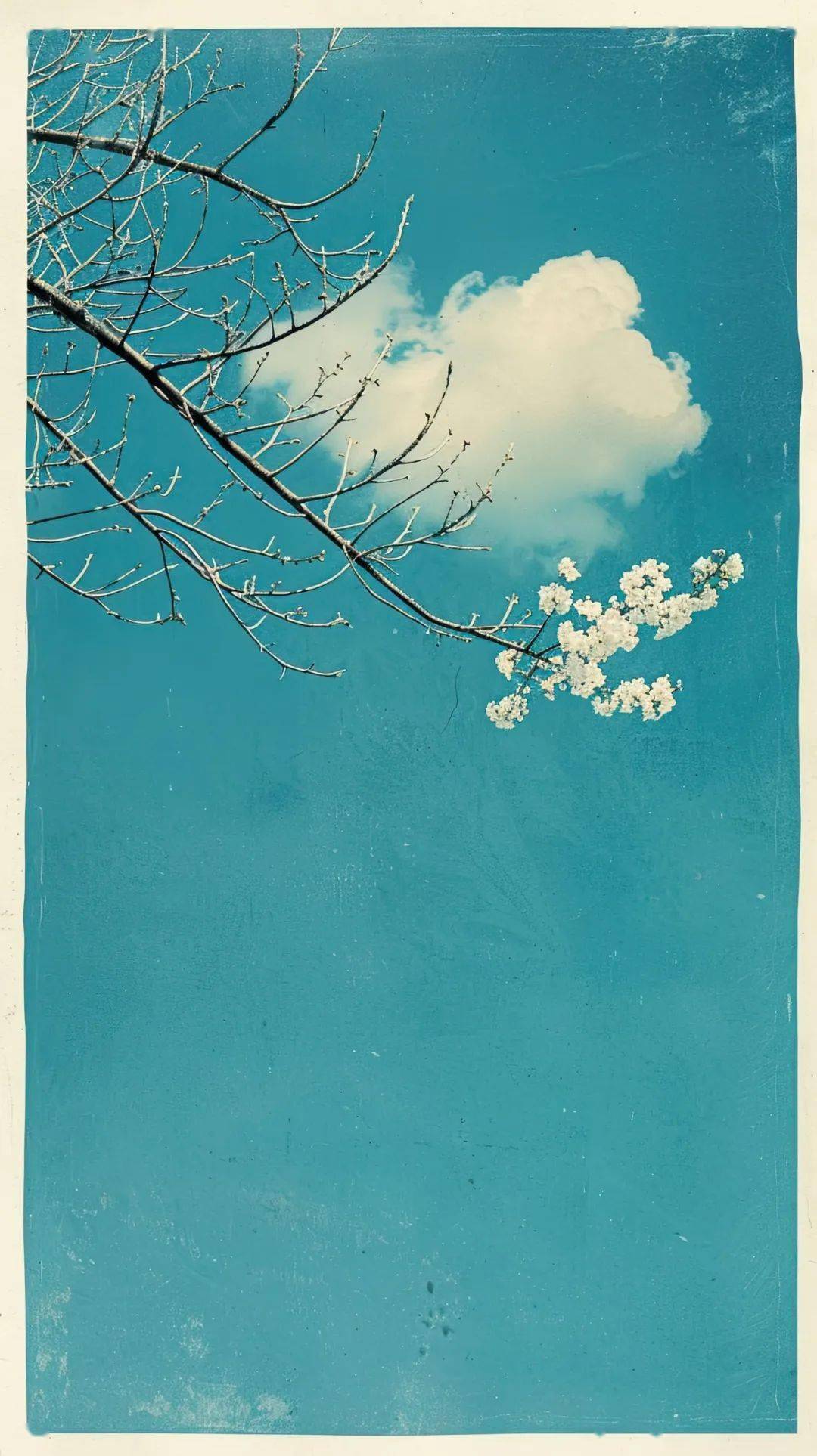 春天的迹象_spring_比喻_感觉