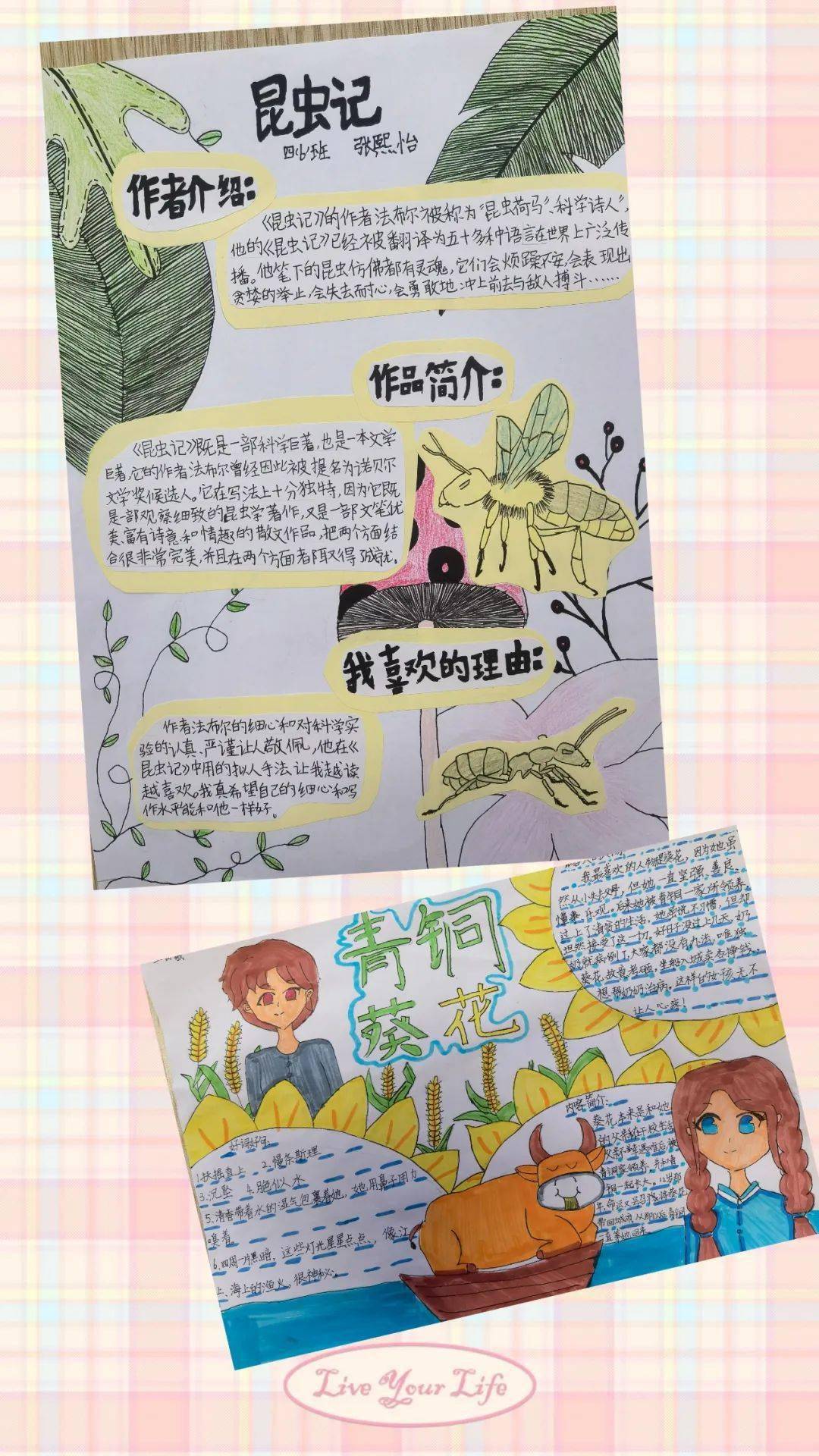童年 "阅"享成长——常熟市实验小学寒假语文特色作业_年级_书签_收获