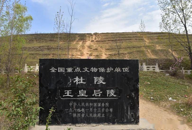 (许平君所生)年幼,汉宣帝想决心为儿子找一养母,于是王氏被册封为皇后