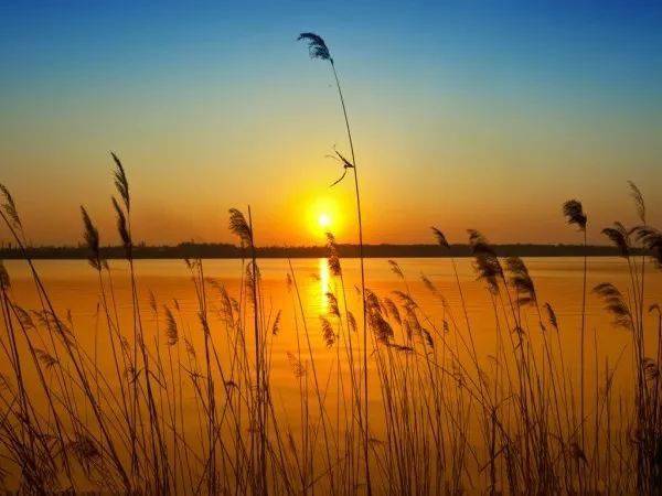 生命的最高境界,就一个字!(深刻)_掌声_谦让_时候