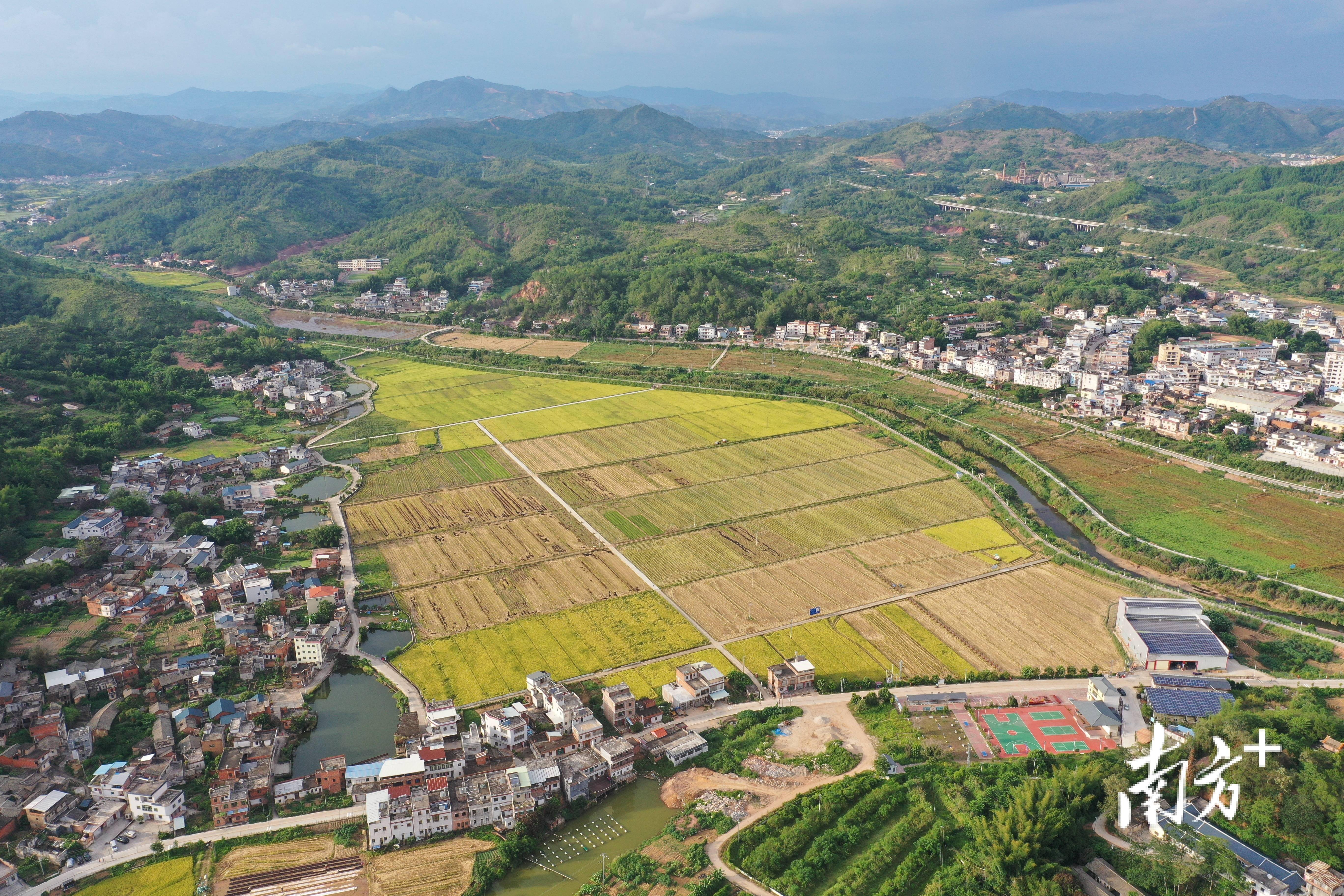 兴宁大坪镇潭坑村对标"七个和美"创建标准建设典型村_发展_产业_美