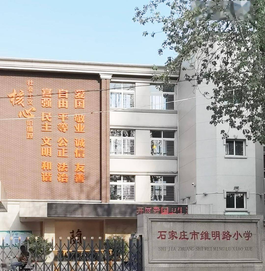 石家庄维明路小学校徽图片