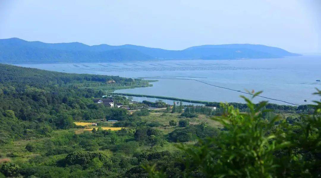 全国闻名的"小黄鸭"为何落地武进_雅浦_生态_雪堰镇