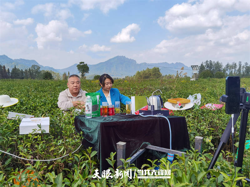 "一"字观遵义·美丨"四在农家"展新颜,生活富美幸福来_乡村_文化_旅游