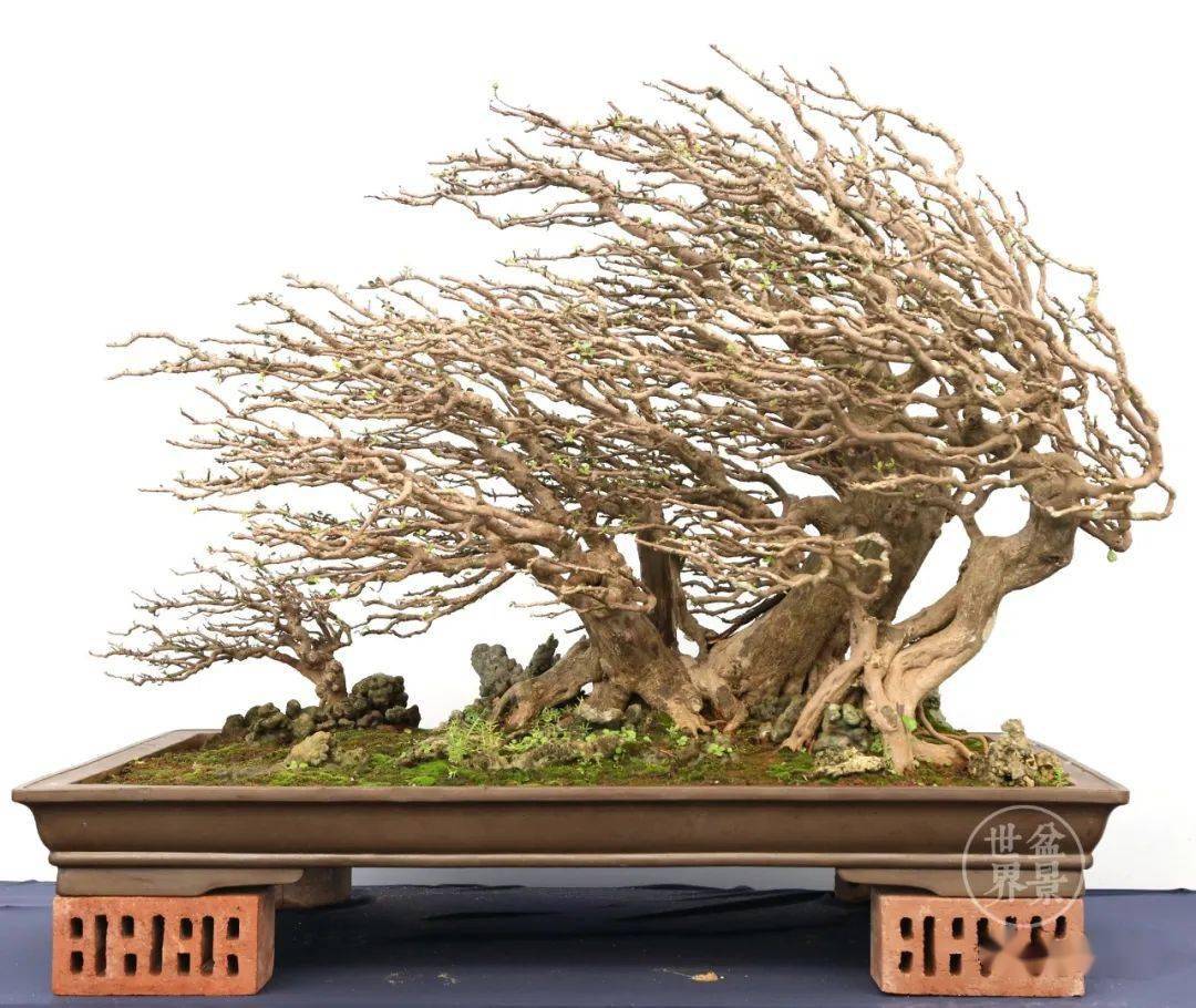 室有山林趣_作品_广东_浙江