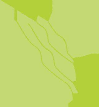 【光明61新视听】振奋龙马精神 塑造光明素养