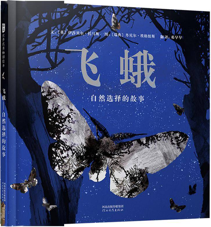 数学_生命_什么