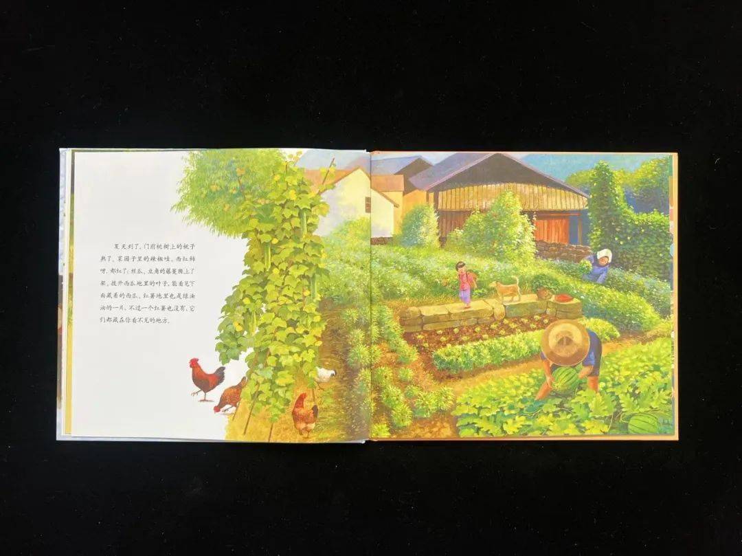 触动心弦的好书,好评无数!_孩子_生活_文字