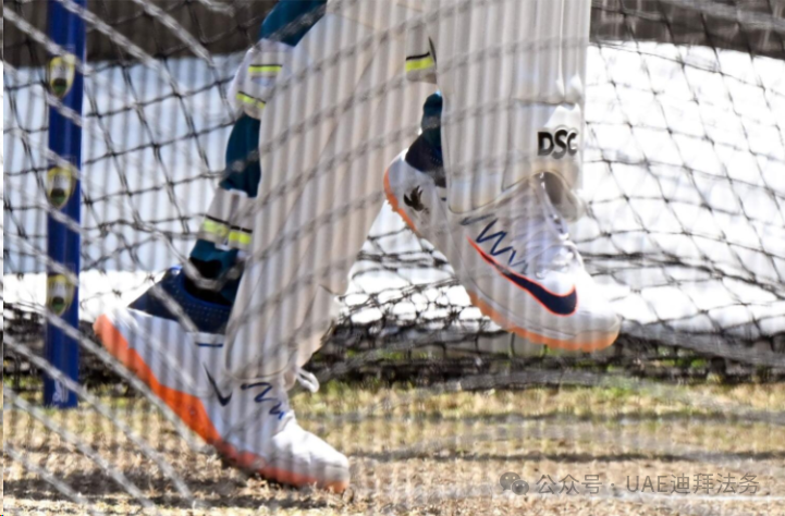 规定_板球_要求