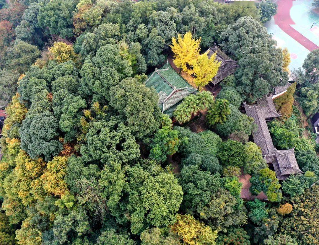 站在这里,可以俯瞰乐山全城,远可观乐山大佛,是市民游客休息,休闲的好